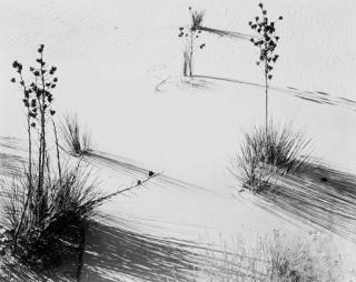 Brett Weston - White Sands