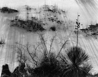 Brett Weston - White Sands