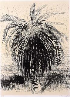 Brett Whiteley - Palm Tree 1