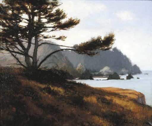 Brian Blood - A View of Blue Fin Cove