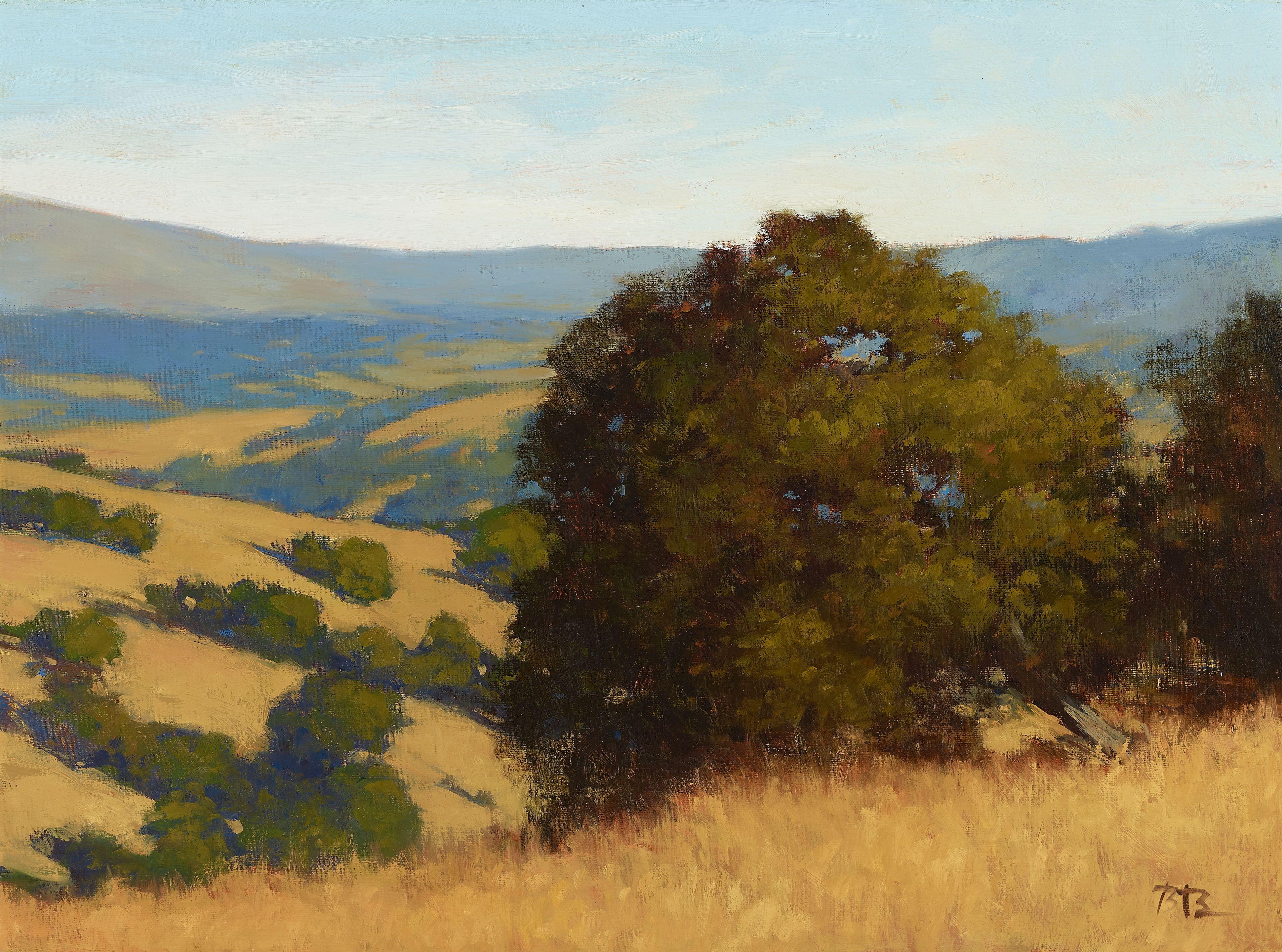 Brian Blood - Distant Oaks