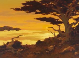 Brian Blood - Sunset Along the 17 Mile Drive, Pebble Beach