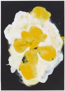 Brian Clarke - Night Orchid 200