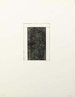Brice Marden - 12 Views for Caroline Tatyana: One Plate (Lewison 29c)