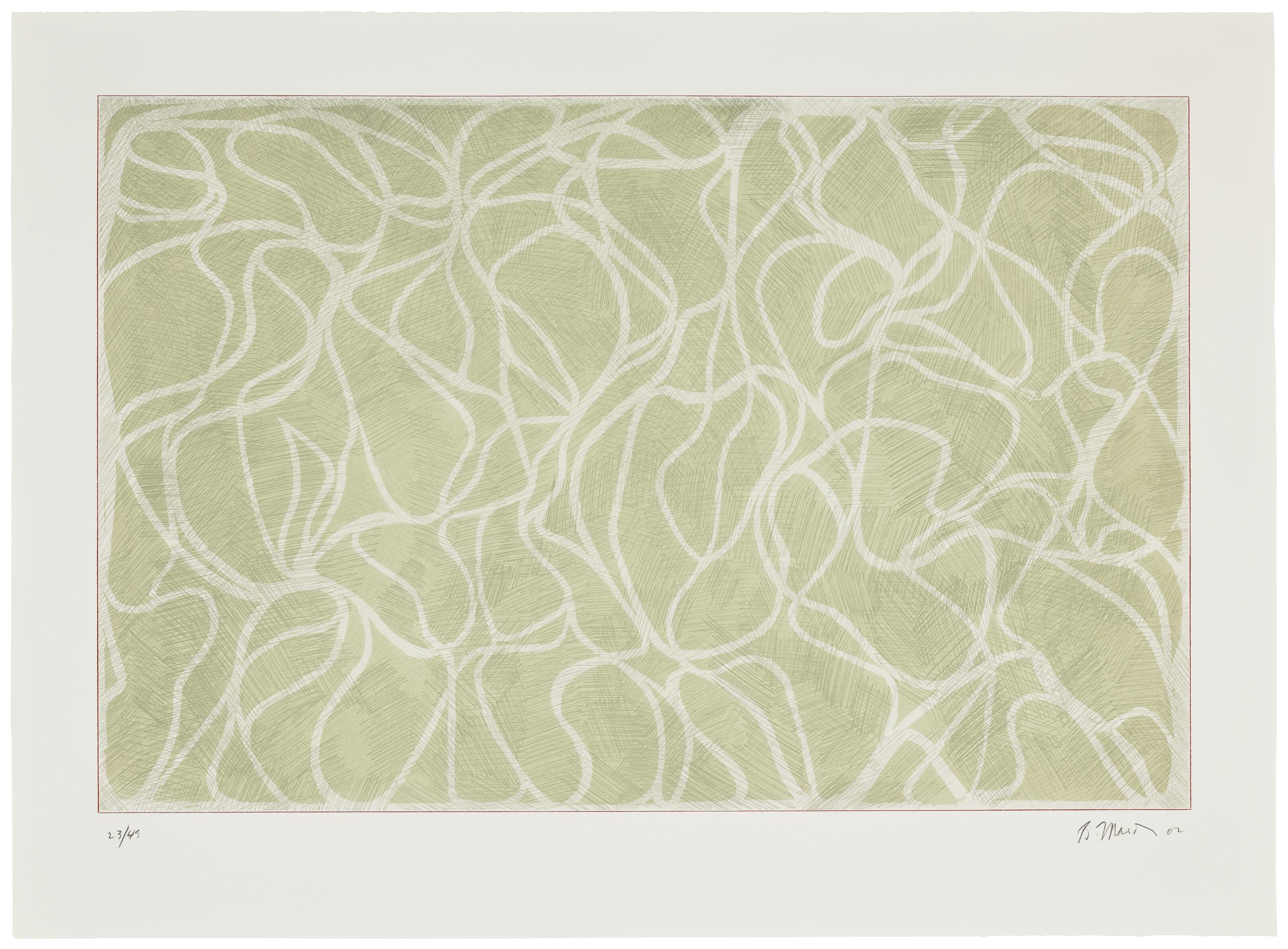 Brice Marden - Celadon Muse