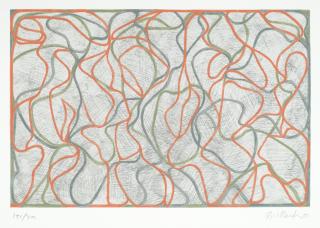 Brice Marden - Distant Muses