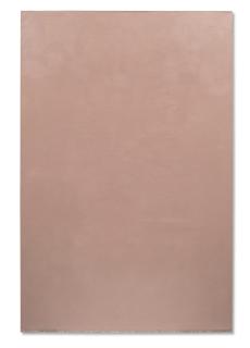 Brice Marden - Flesh (Back Series)