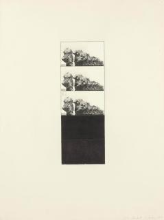 Brice Marden - Grove Addenda III