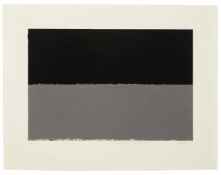Brice Marden - Gulf, from New York Ten