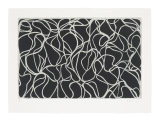 Brice Marden - Line Muses