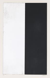 Brice Marden - Ten Days: one plate