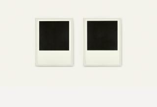 Brice Marden - Two Drawings for One Wall