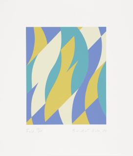 Bridget Louise Riley - Fold