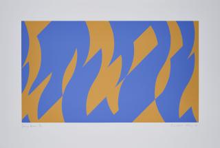 Bridget Louise Riley - Going Across (für Parkett 61).