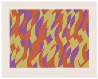 Bridget Riley - Carnival