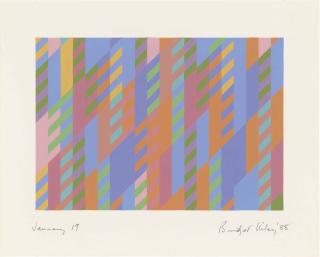 Bridget Riley - January 19