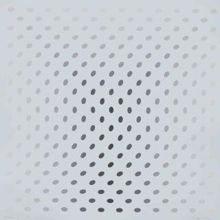 Bridget Riley - Nineteen Greys C (S. 8c)