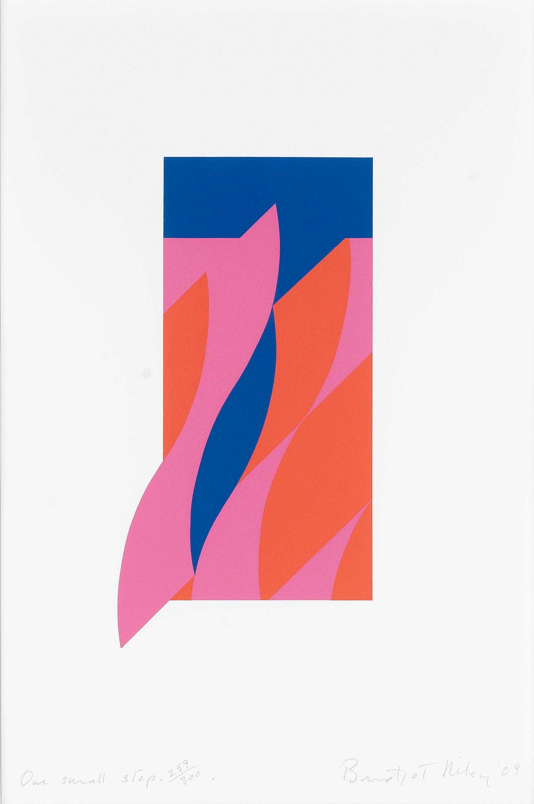 Bridget Riley - One Small Step