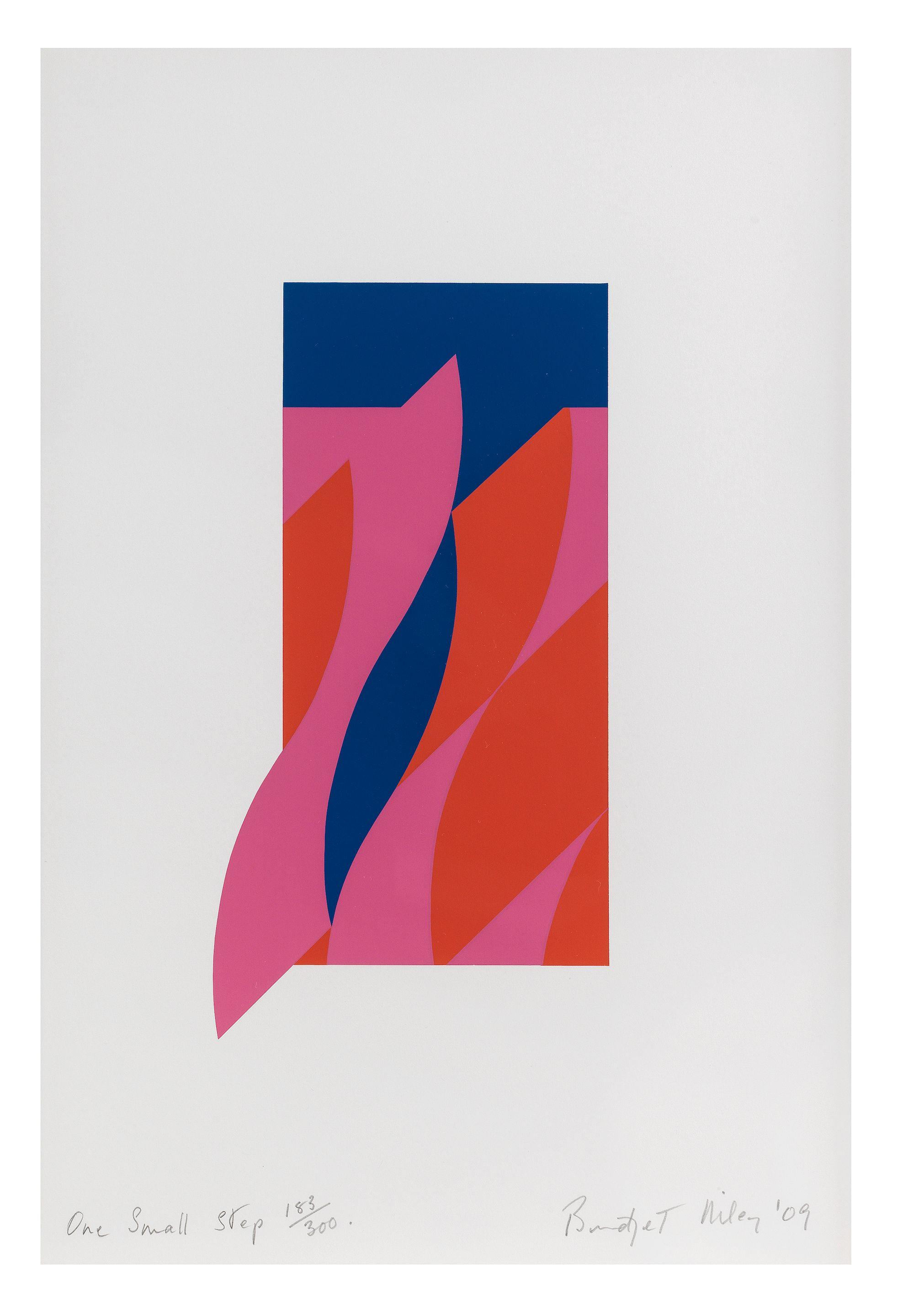 Bridget Riley - One Small Step