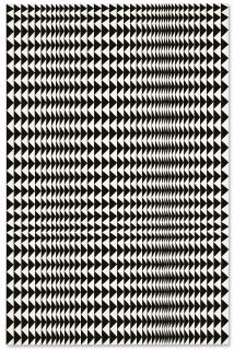 Bridget Riley - Reverse