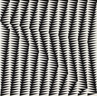 Bridget Riley - Shift