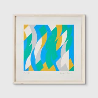 Bridget Riley - Start, 2000