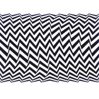 Bridget Riley - Untitled (Fragment 3)