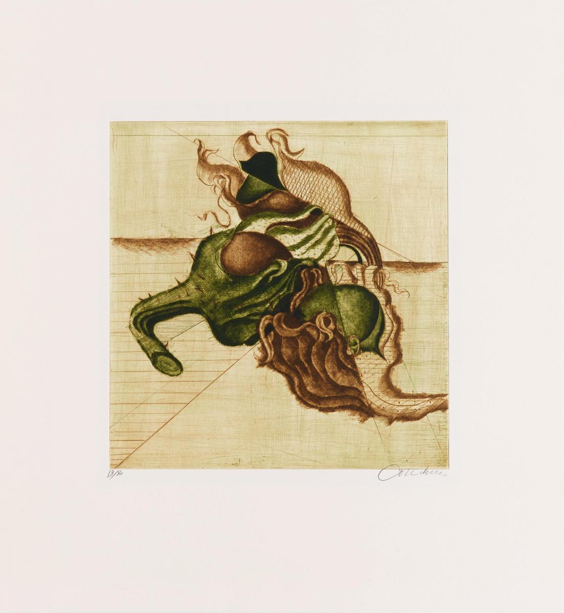 Brigitte Coudrain - 5 fruits de la terre (Mappe mit 5 Blättern)