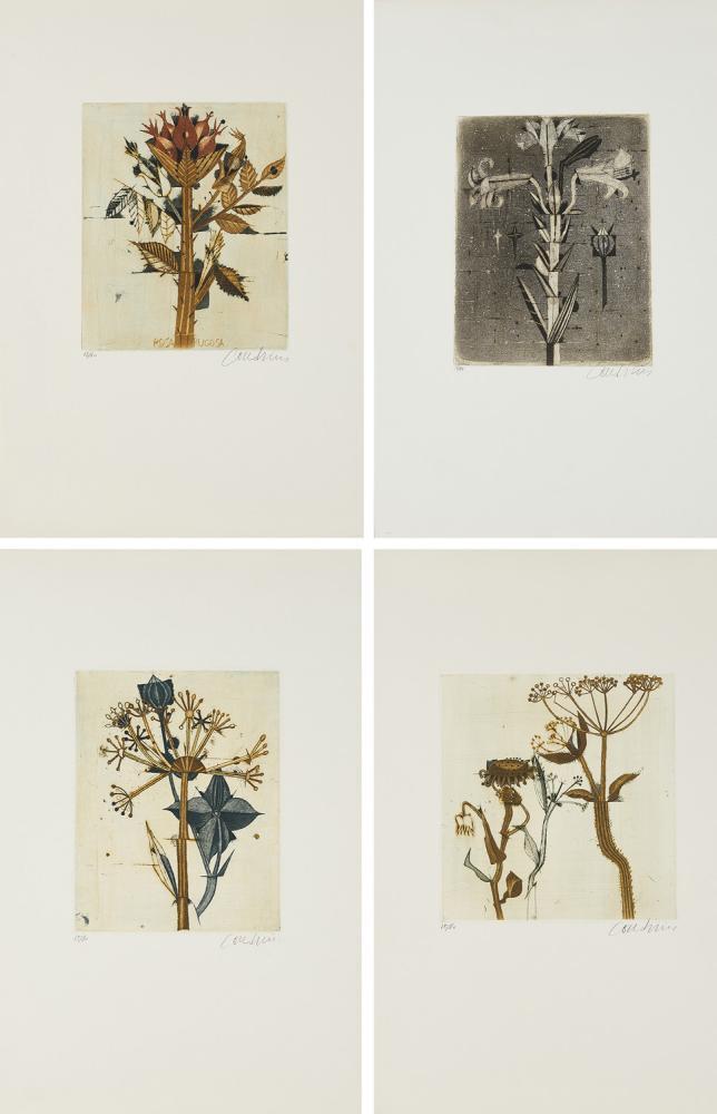 Brigitte Coudrain - Pour un herbier.