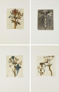 Brigitte Coudrain - Pour un herbier.