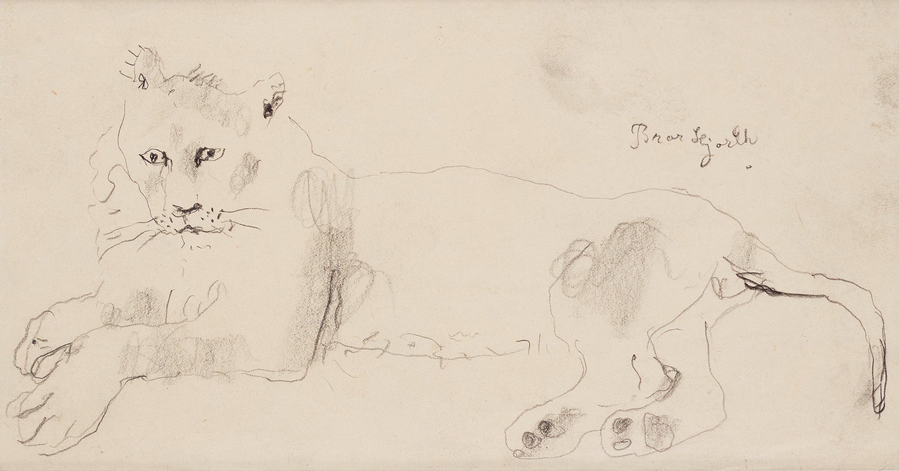 Bror Hjorth - Lying lion