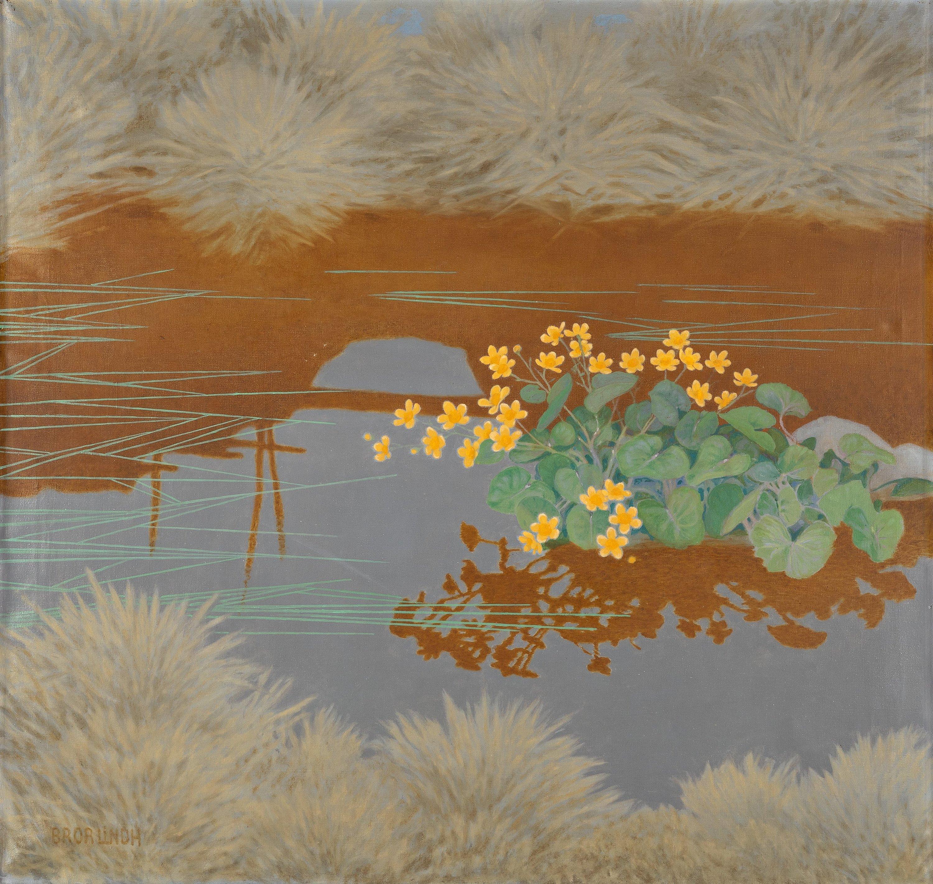 Bror Lindh - Marsh Marigolds