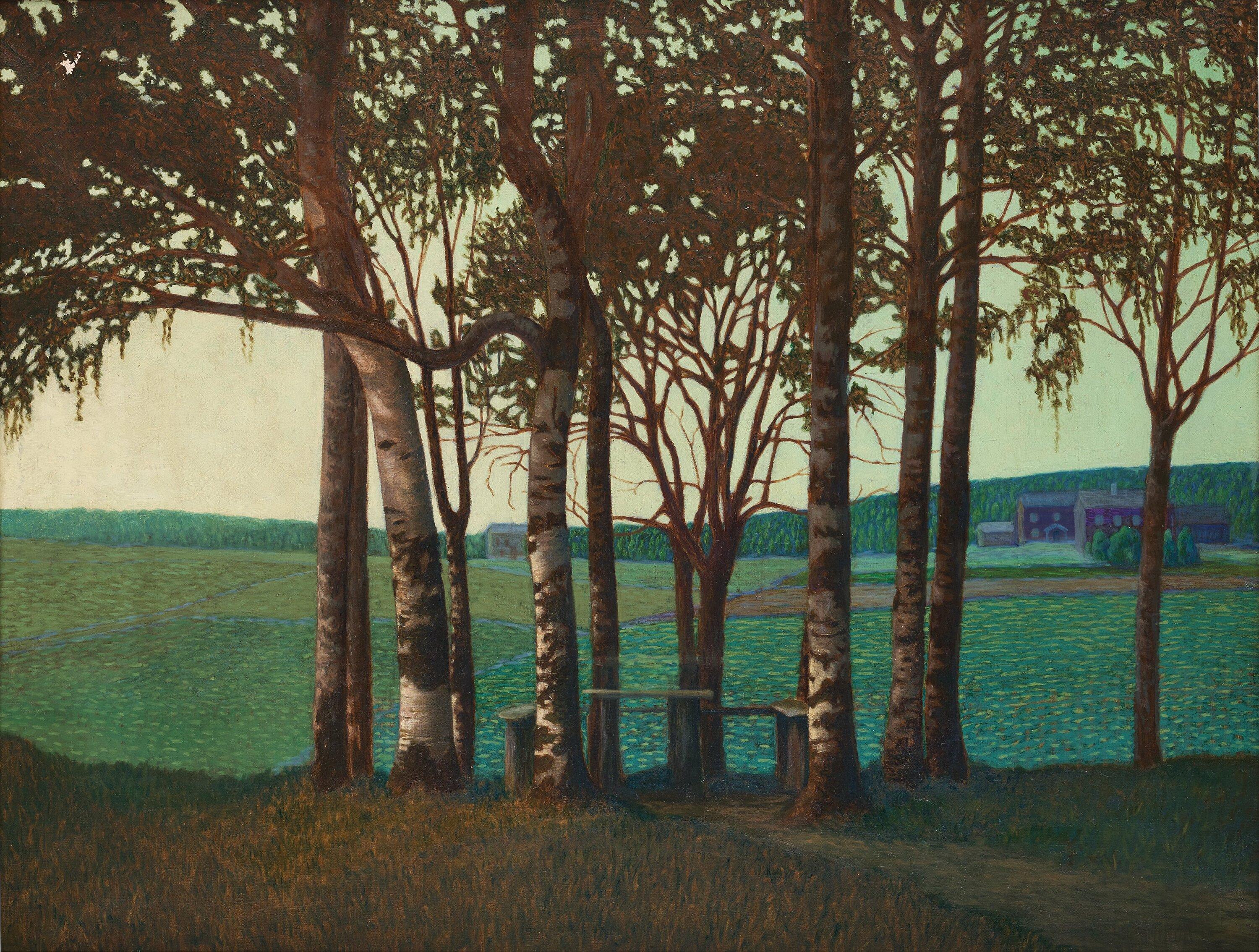 Bror Lindh - View with Birch trees