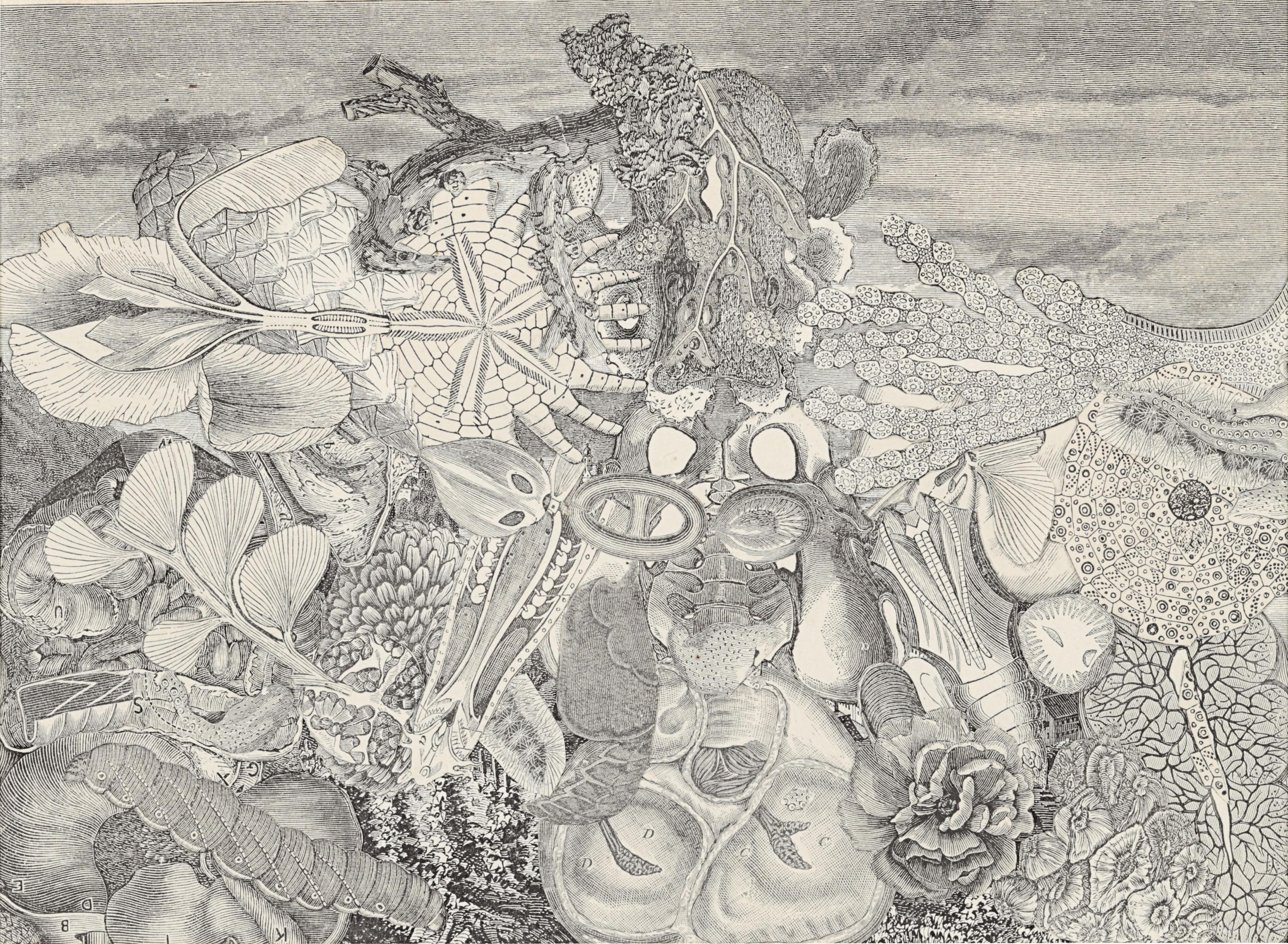 Bruce Conner - UNTITLED (LANDSCAPE)