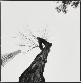 Bruce Davidson - Nature of Paris