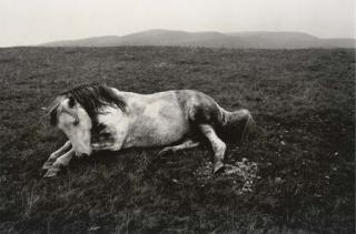 Bruce Davidson - Wales, 1965