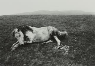 Bruce Davidson - \'Welsh Miners\'