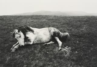 Bruce Davidson - \'Welsh Miners\'