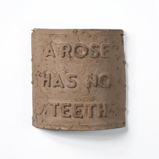 Bruce Nauman - Aâ Rose Has No Teeth