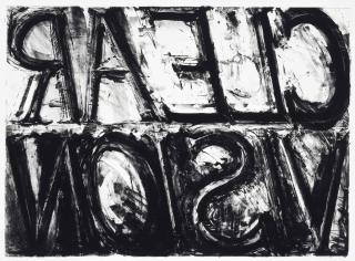 Bruce Nauman - Clear Vision