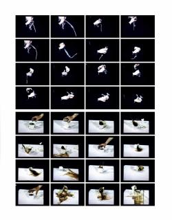 Bruce Nauman - Coffee Spilled And Balloon Dog