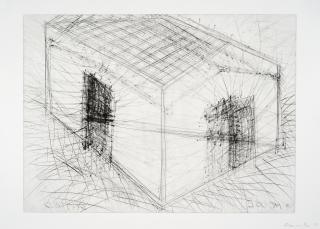 Bruce Nauman - House Divided