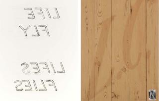 Bruce Nauman - Life Fly Lifes Flies, from Leo Castelli