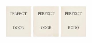 Bruce Nauman - Perfect Door, Perfect Odor, Perfect Rodo