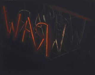 Bruce Nauman - Raw War