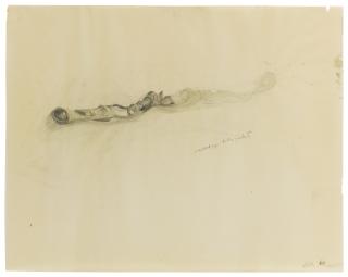 Bruce Nauman - Rolled Up Body Gasket