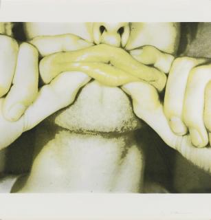 Bruce Nauman - Studies For Holograms (A-E) (Castelli-Lorence-Monk & Young 1-5)