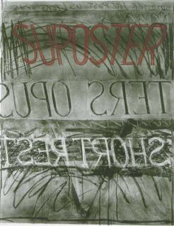 Bruce Nauman - Suposter
