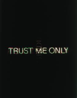Bruce Nauman - Trust Me Only Big Studio