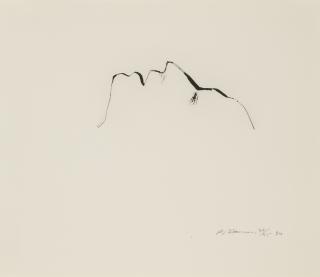 Bruce Nauman - Untitled (Head) (Cordes 69)